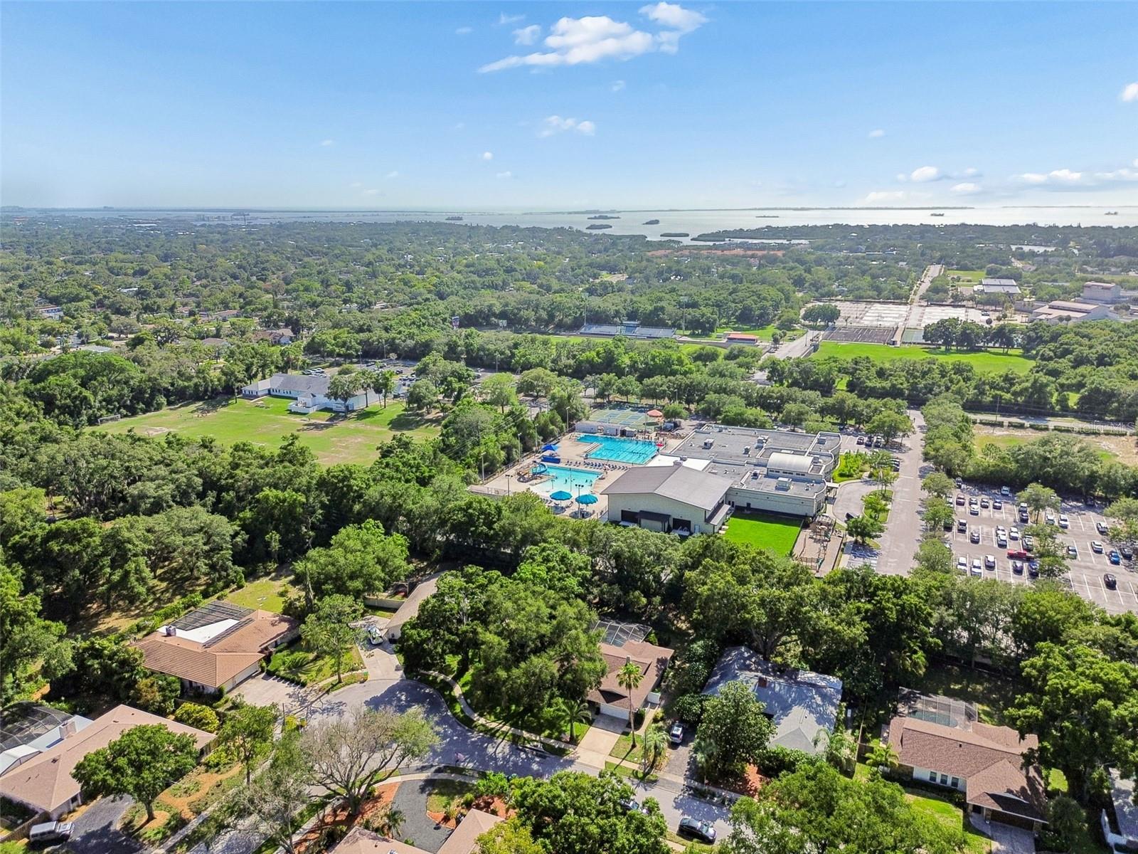 515 SANDY HOOK RD, PALM HARBOR, FL, 34683