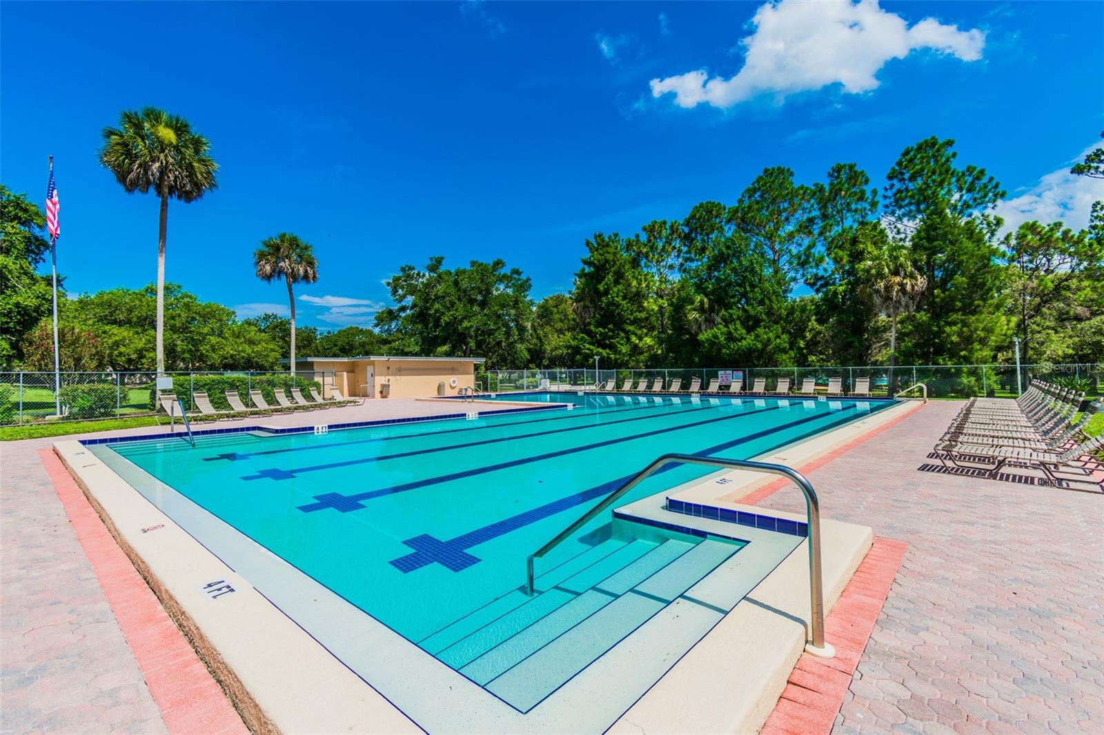 515 SANDY HOOK RD, PALM HARBOR, FL, 34683