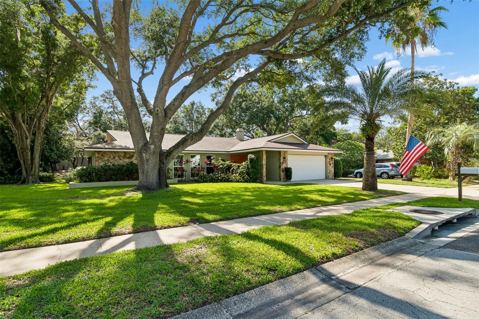 515 SANDY HOOK RD, PALM HARBOR, FL, 34683