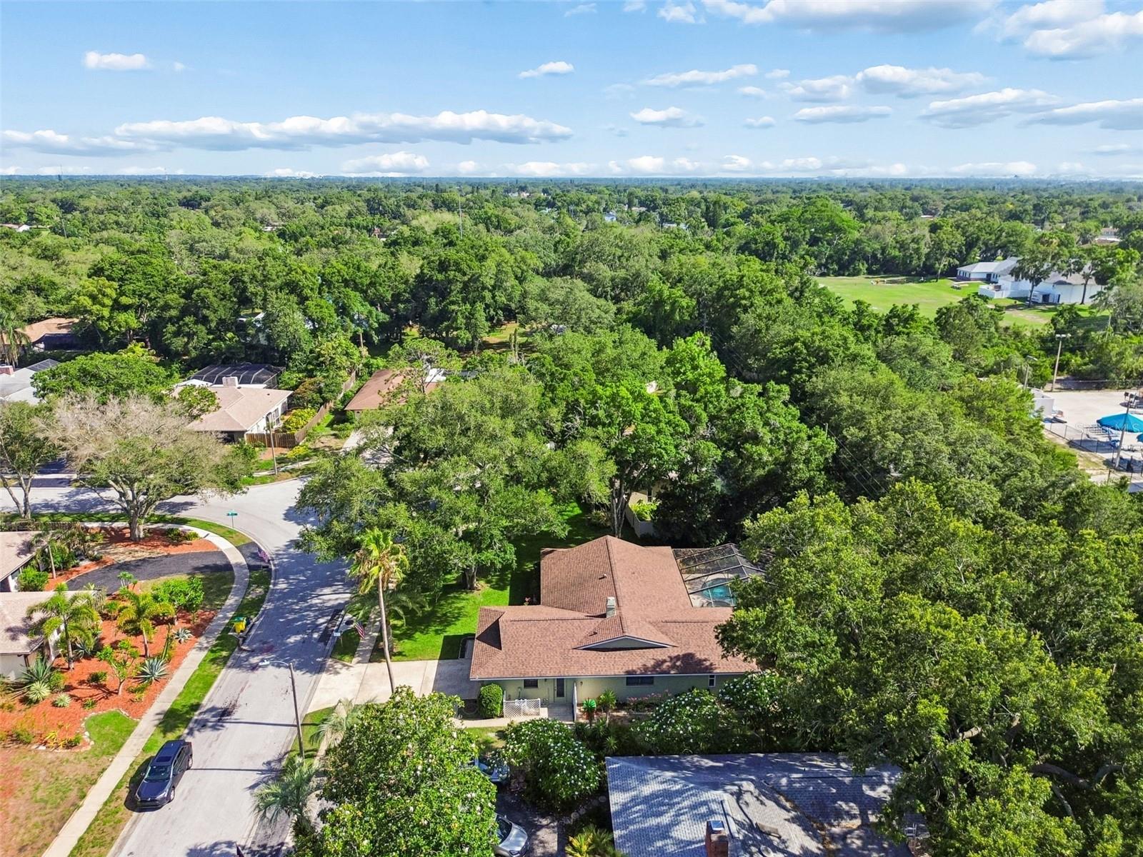 515 SANDY HOOK RD, PALM HARBOR, FL, 34683