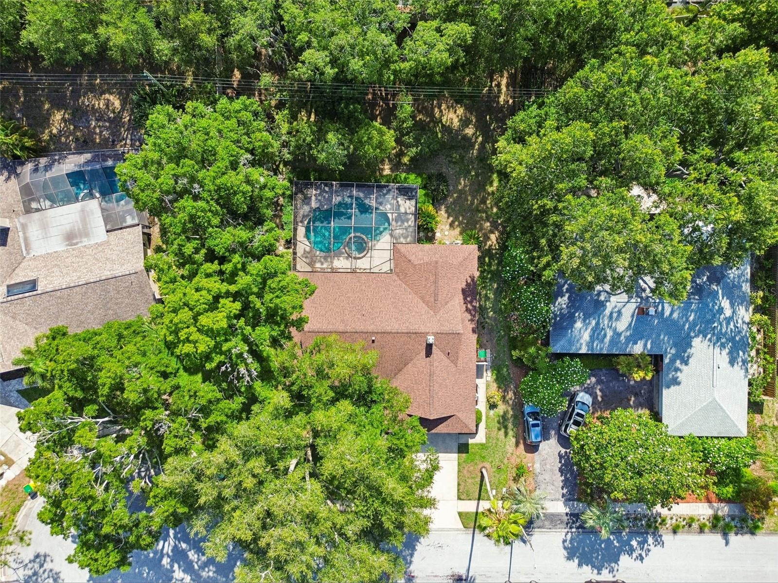 515 SANDY HOOK RD, PALM HARBOR, FL, 34683