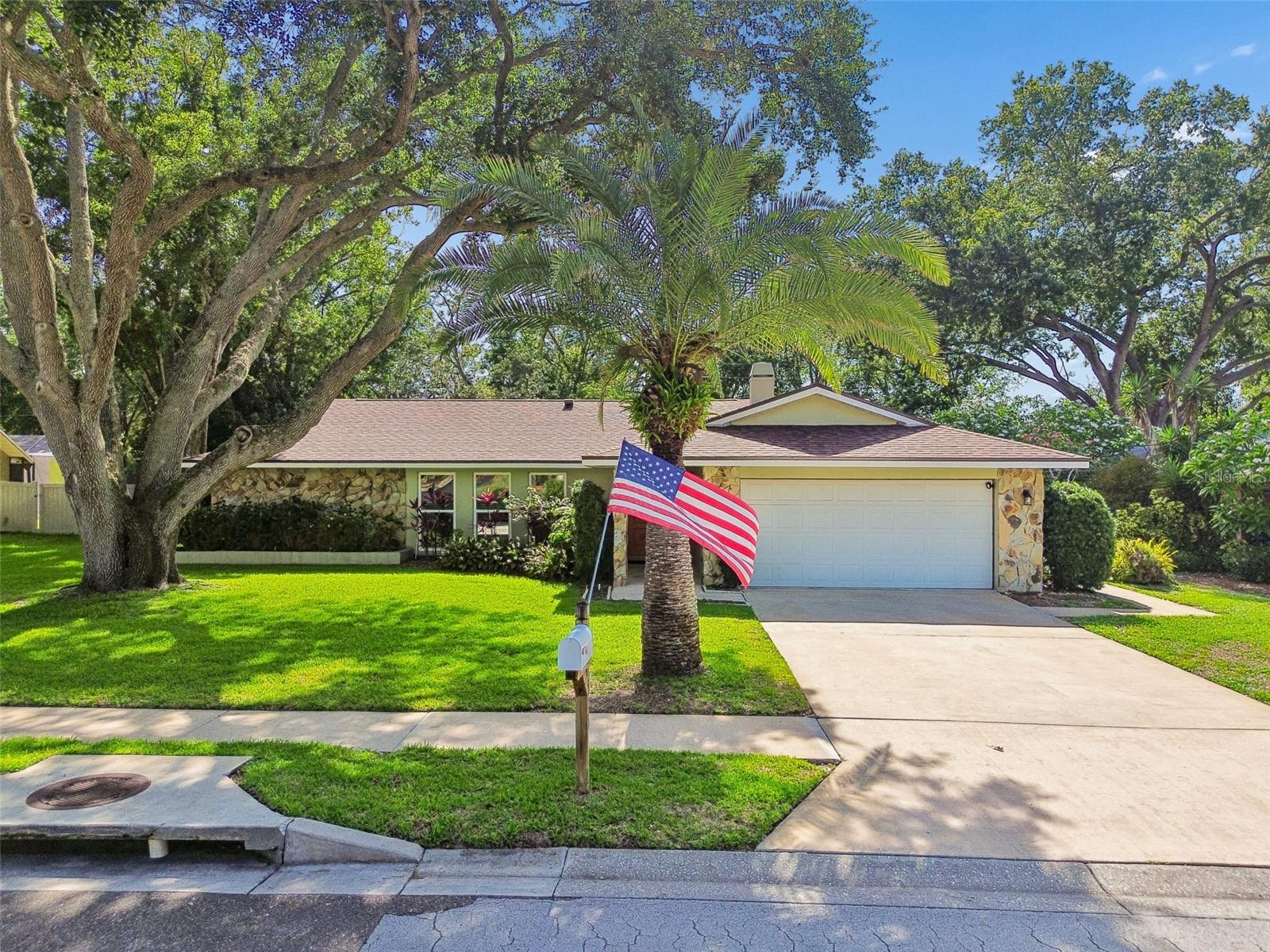 515 SANDY HOOK RD, PALM HARBOR, FL, 34683