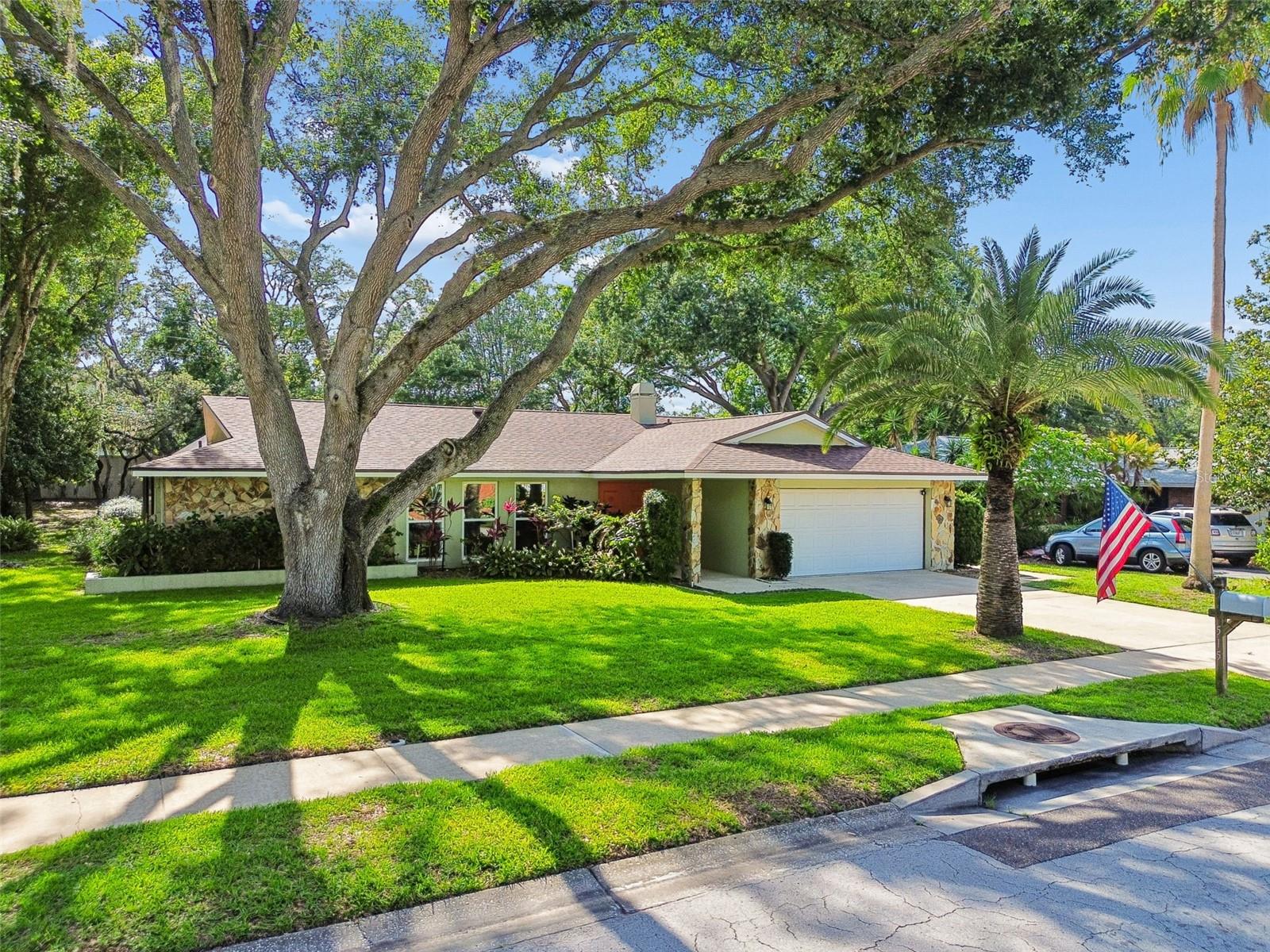 515 SANDY HOOK RD, PALM HARBOR, FL, 34683