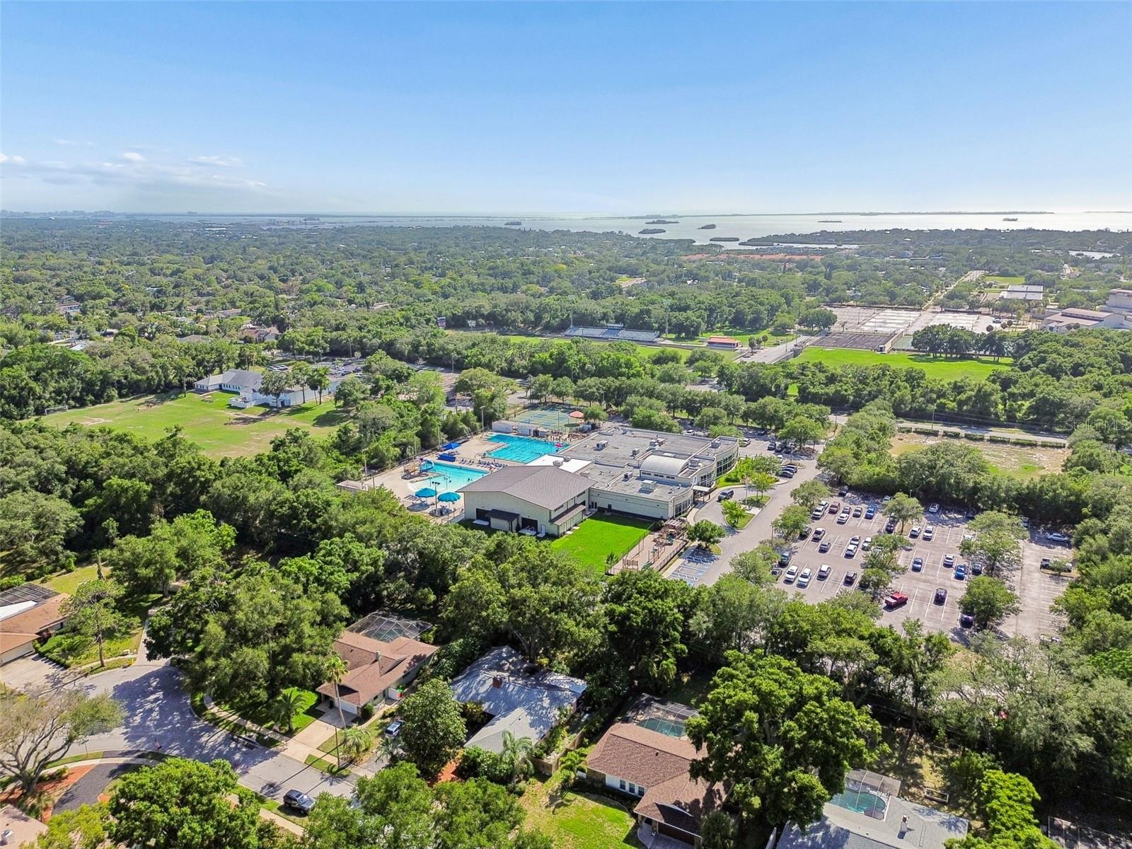 515 SANDY HOOK RD, PALM HARBOR, FL, 34683