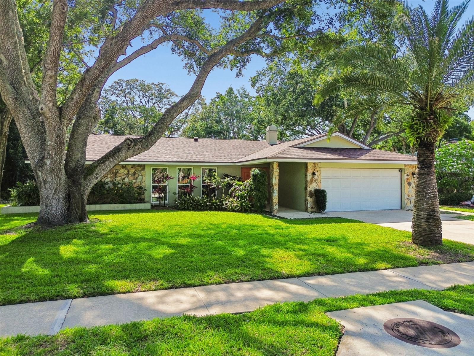 515 SANDY HOOK RD, PALM HARBOR, FL, 34683