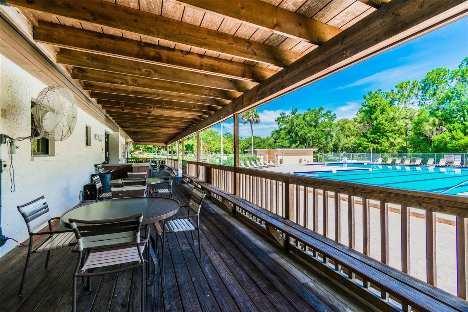 515 SANDY HOOK RD, PALM HARBOR, FL, 34683