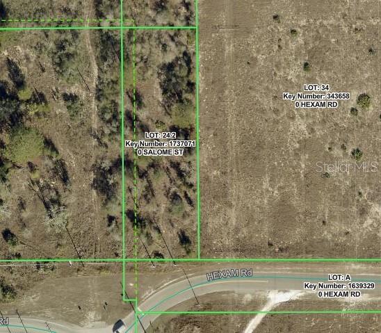 SALOME ST, BROOKSVILLE, FL, 34614