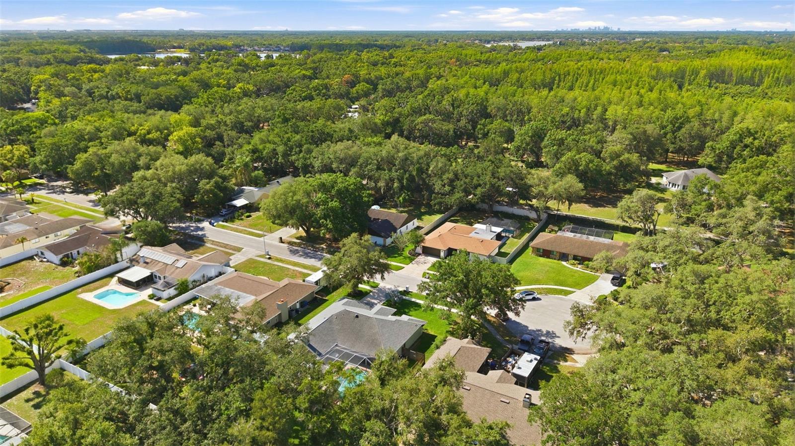 2511 VINY CT, TAMPA, FL, 33618