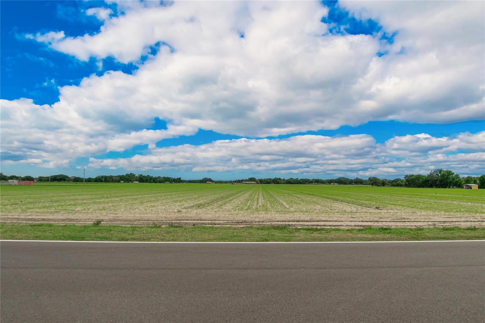 3702 TRAPNELL GROVE LOOP, PLANT CITY, FL, 33567