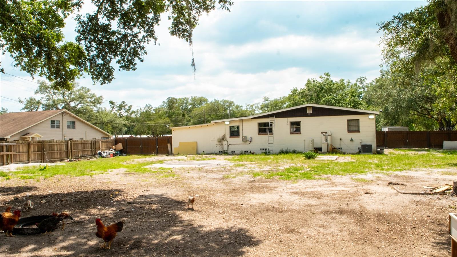 15229 N 13TH ST, LUTZ, FL, 33549