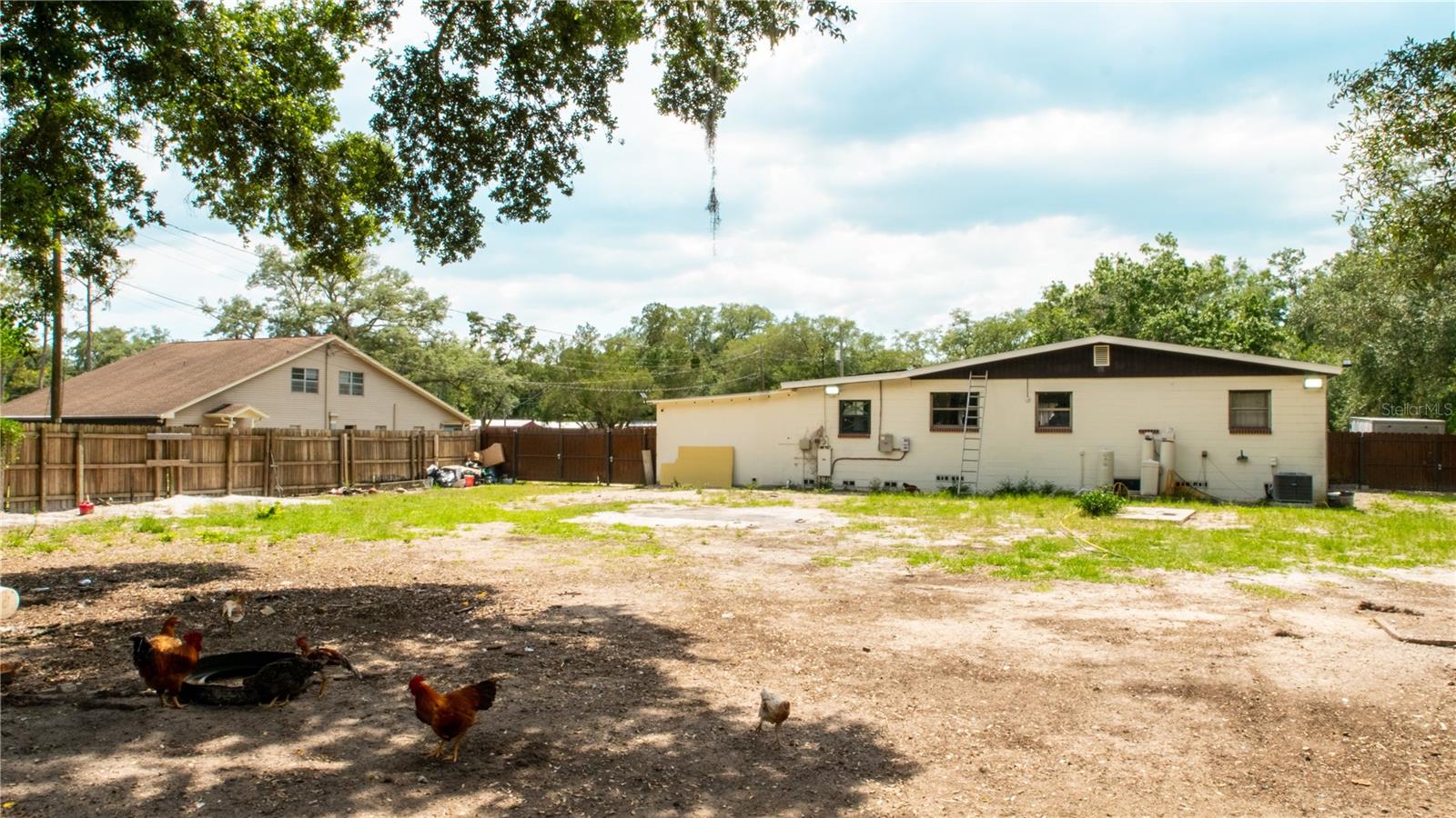 15229 N 13TH ST, LUTZ, FL, 33549