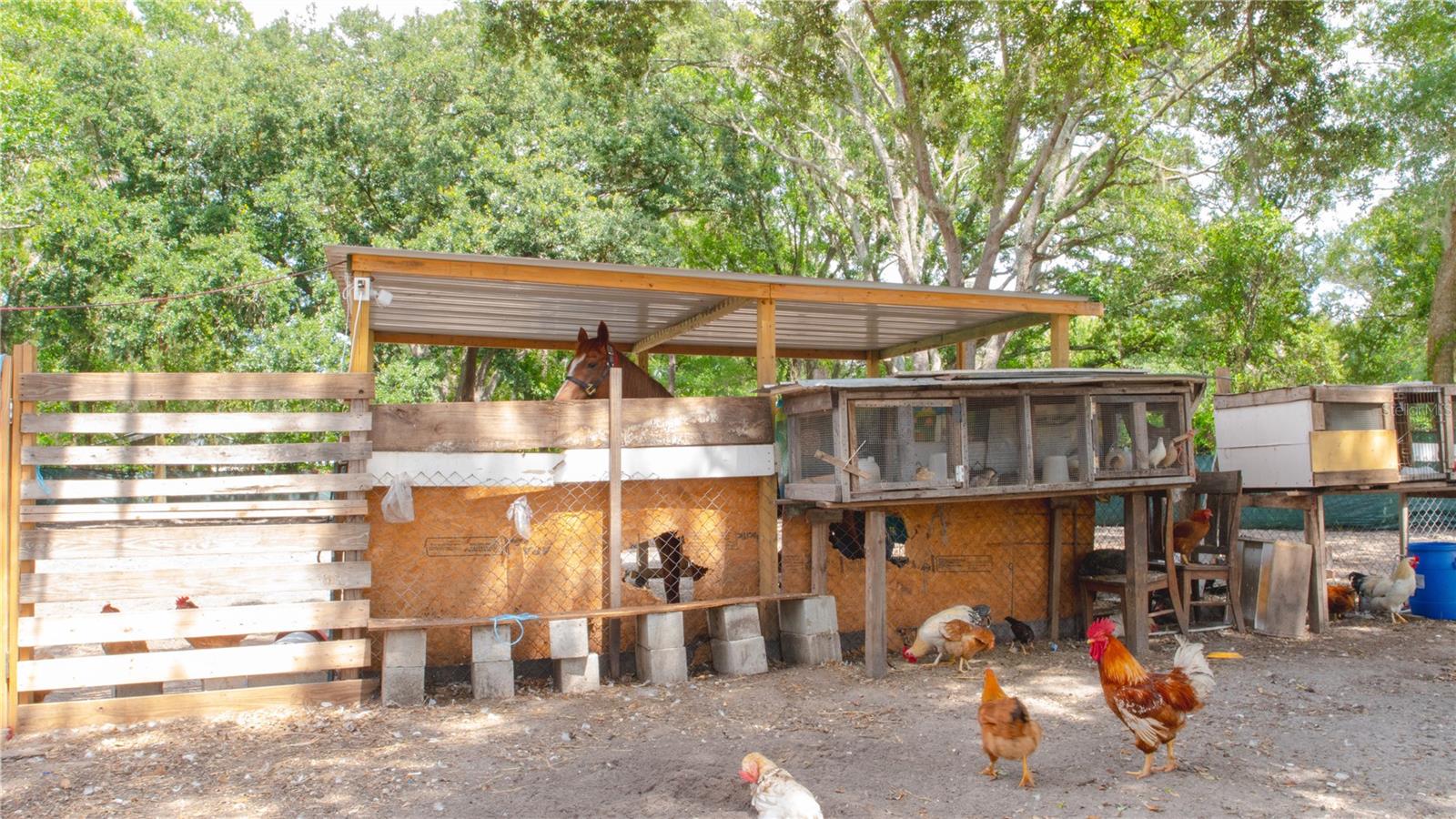 15229 N 13TH ST, LUTZ, FL, 33549