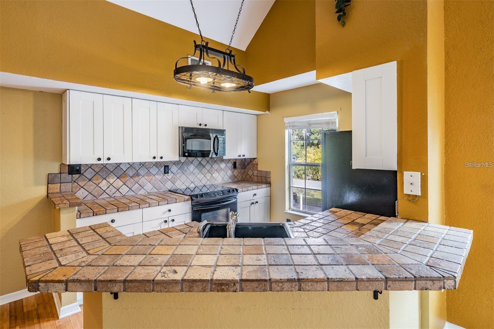 9156 LAKE CHASE ISLAND WAY #9156, TAMPA, FL, 33626