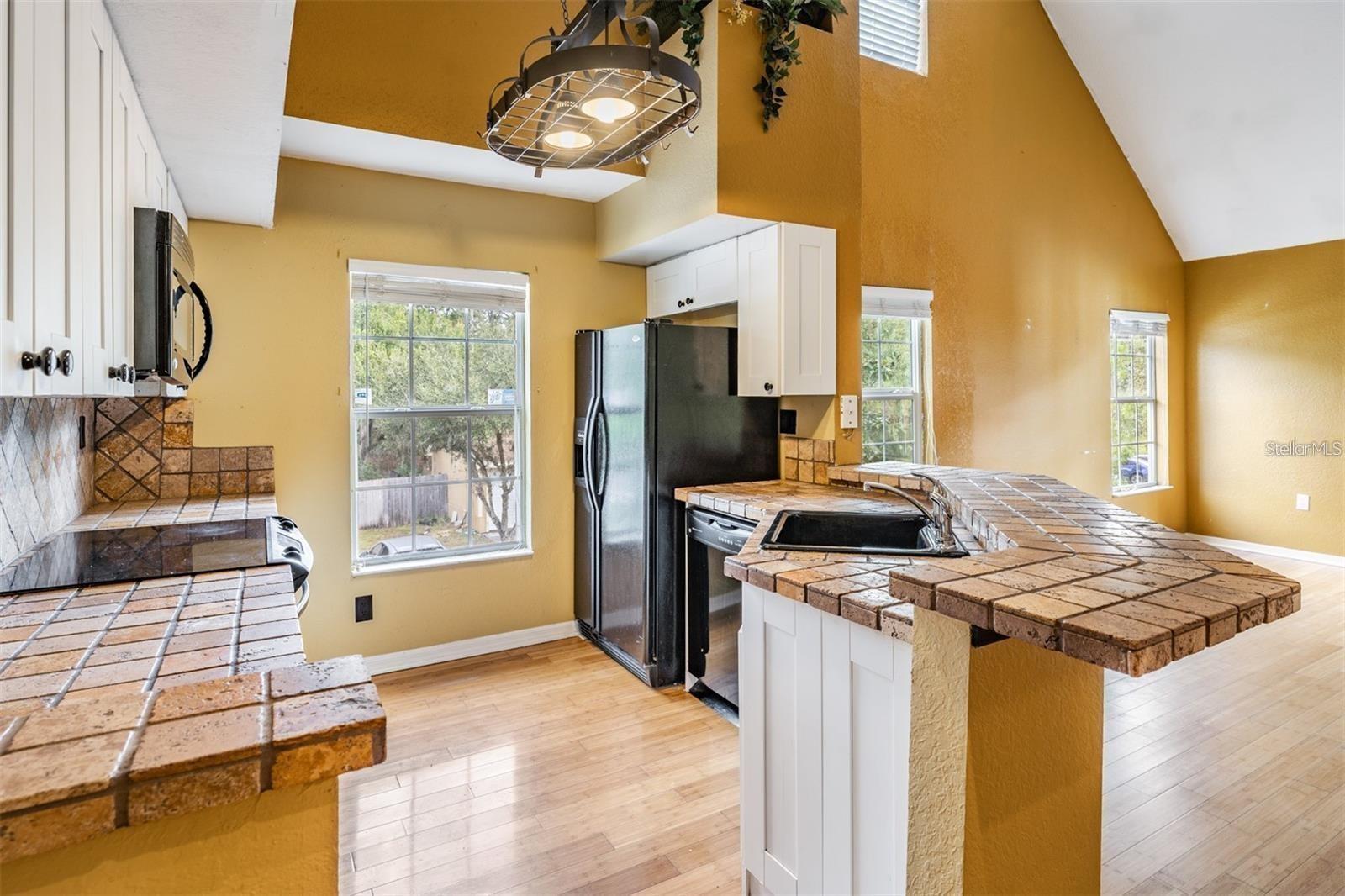 9156 LAKE CHASE ISLAND WAY #9156, TAMPA, FL, 33626