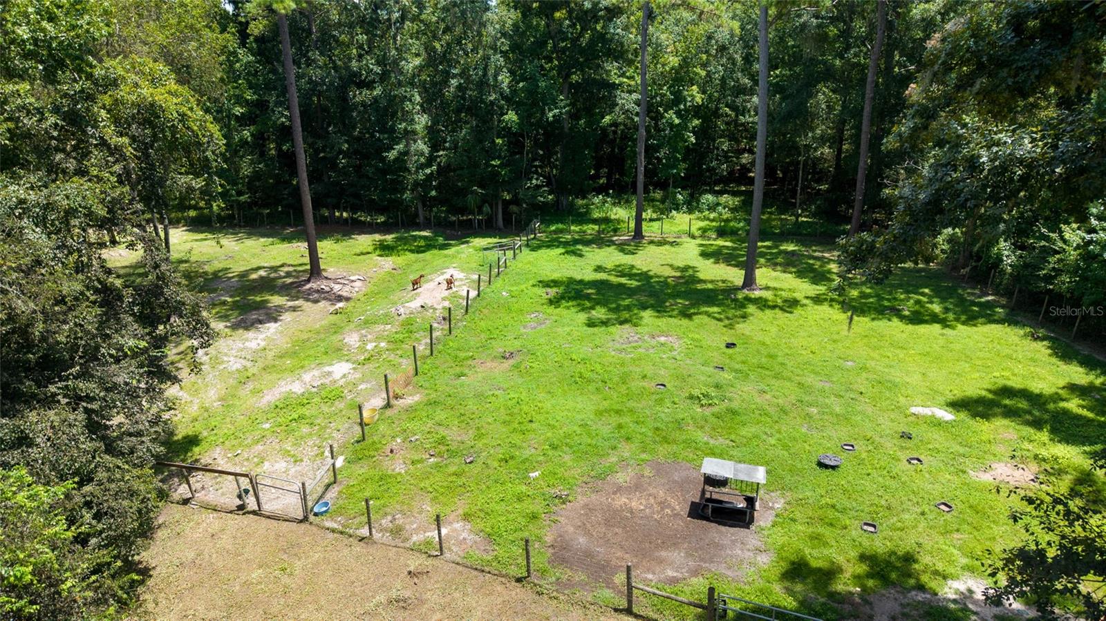 17045 NW 128TH TER, REDDICK, FL, 32686