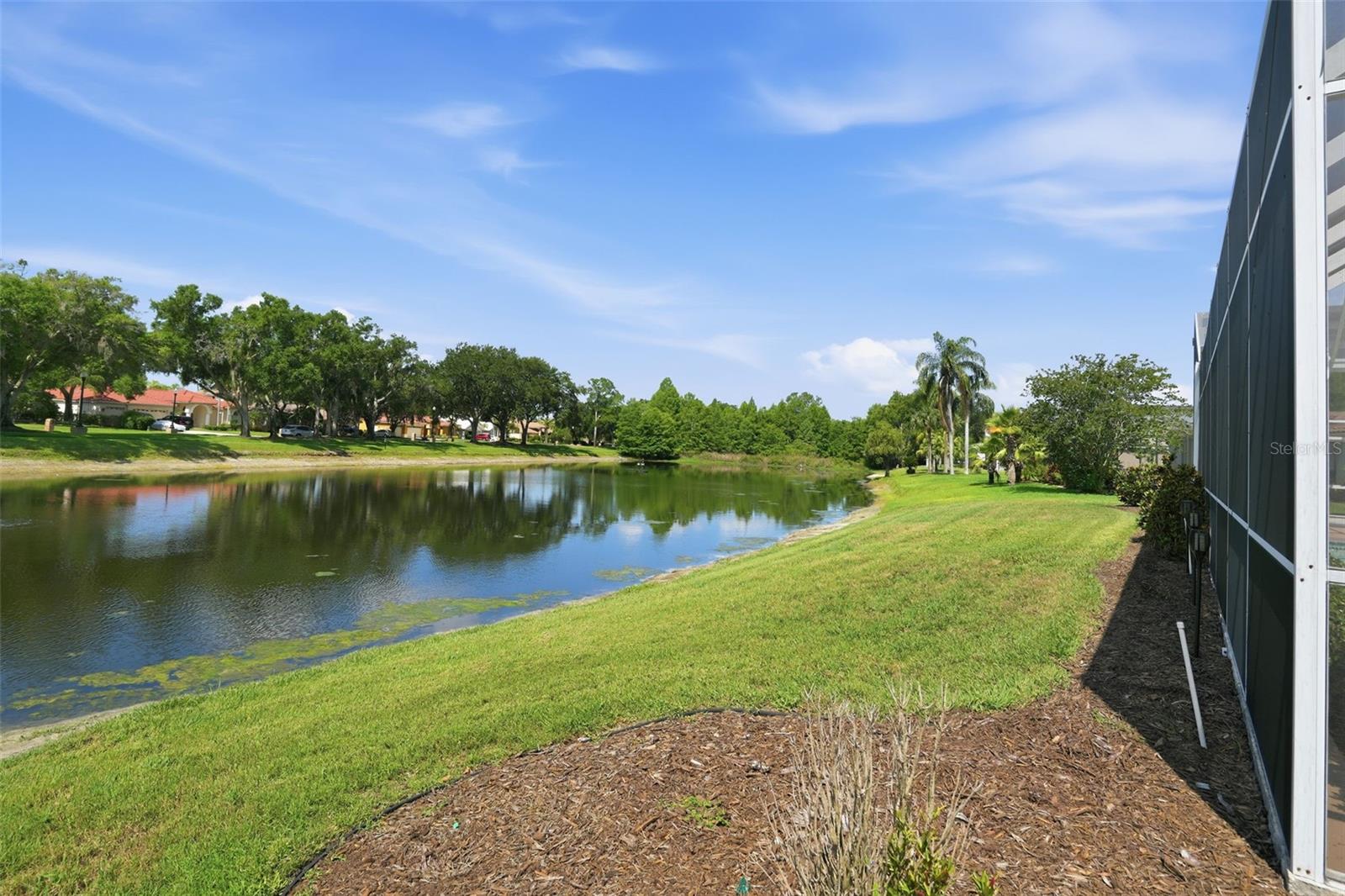 3166 STERLING ST, TARPON SPRINGS, FL, 34688