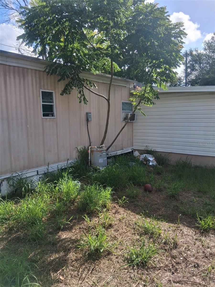 36449 WEST DR, FRUITLAND PARK, FL, 34731