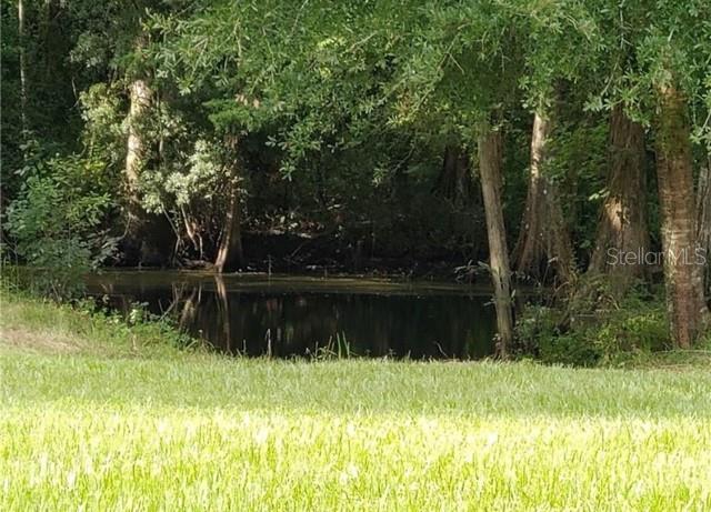 12253 E BERRY LN, FLORAL CITY, FL, 34436