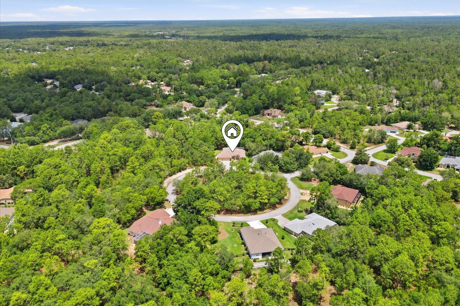 6 HEUCHERA CT W, HOMOSASSA, FL, 34446