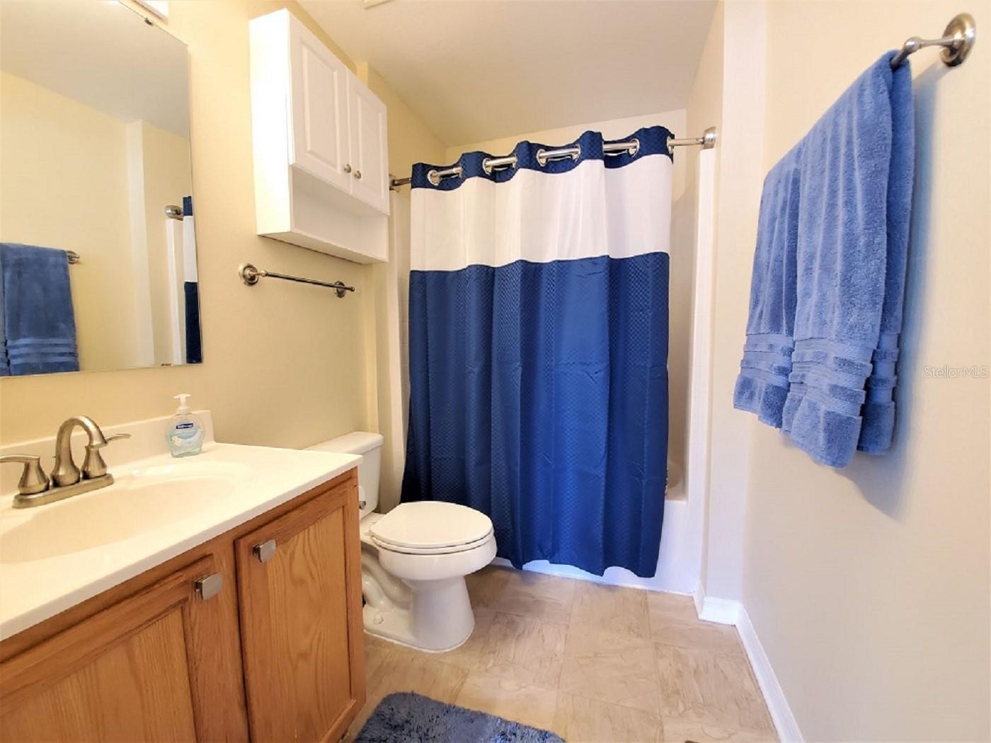 9870 ASHBURN LAKE DR, TAMPA, FL, 33610