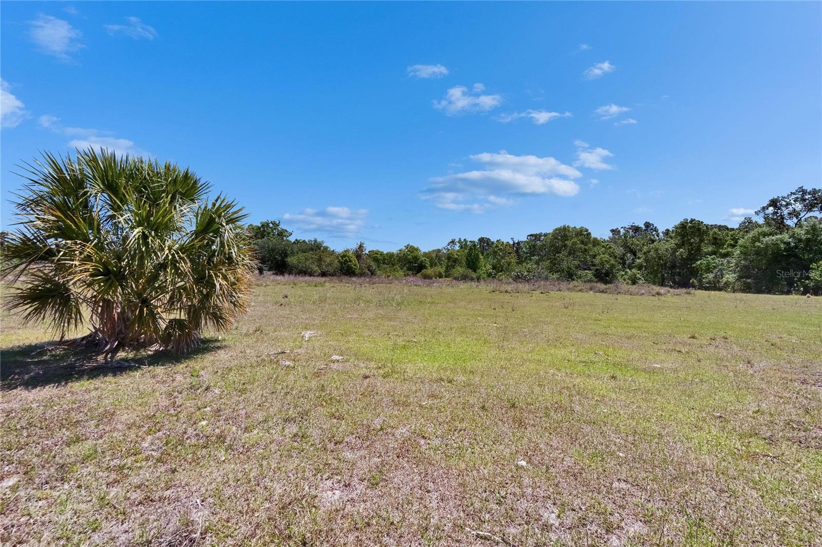 16894 DELIA ST, WIMAUMA, FL, 33598