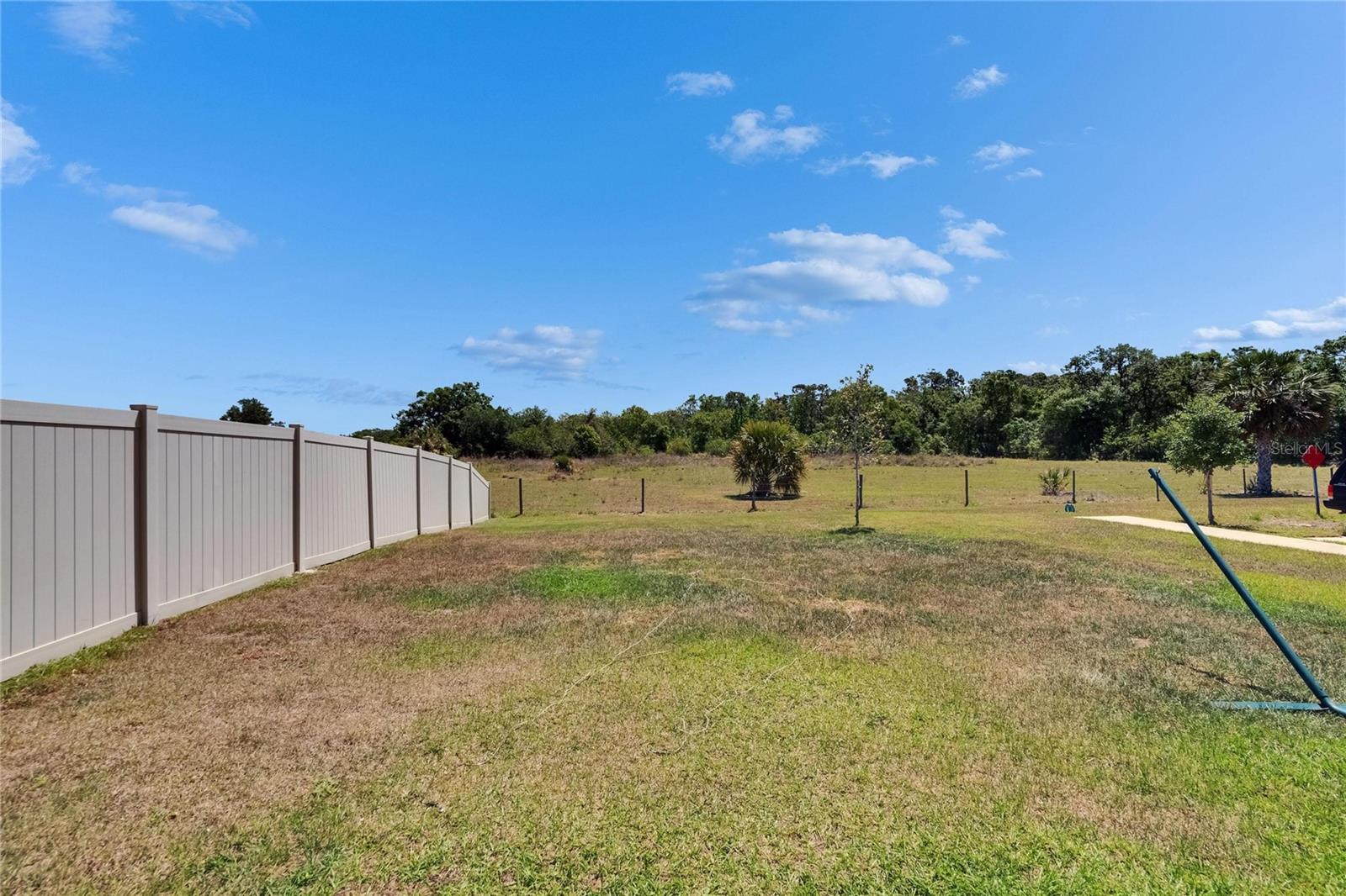 16894 DELIA ST, WIMAUMA, FL, 33598
