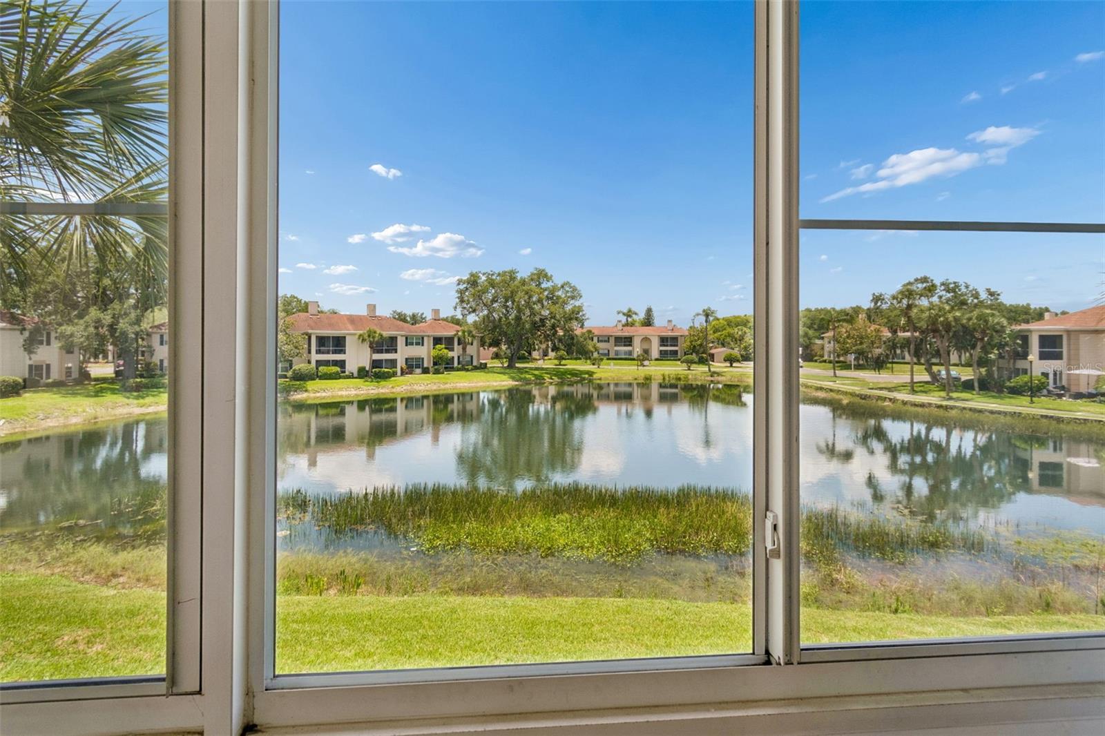 10344 CARROLLWOOD LN #176, TAMPA, FL, 33618