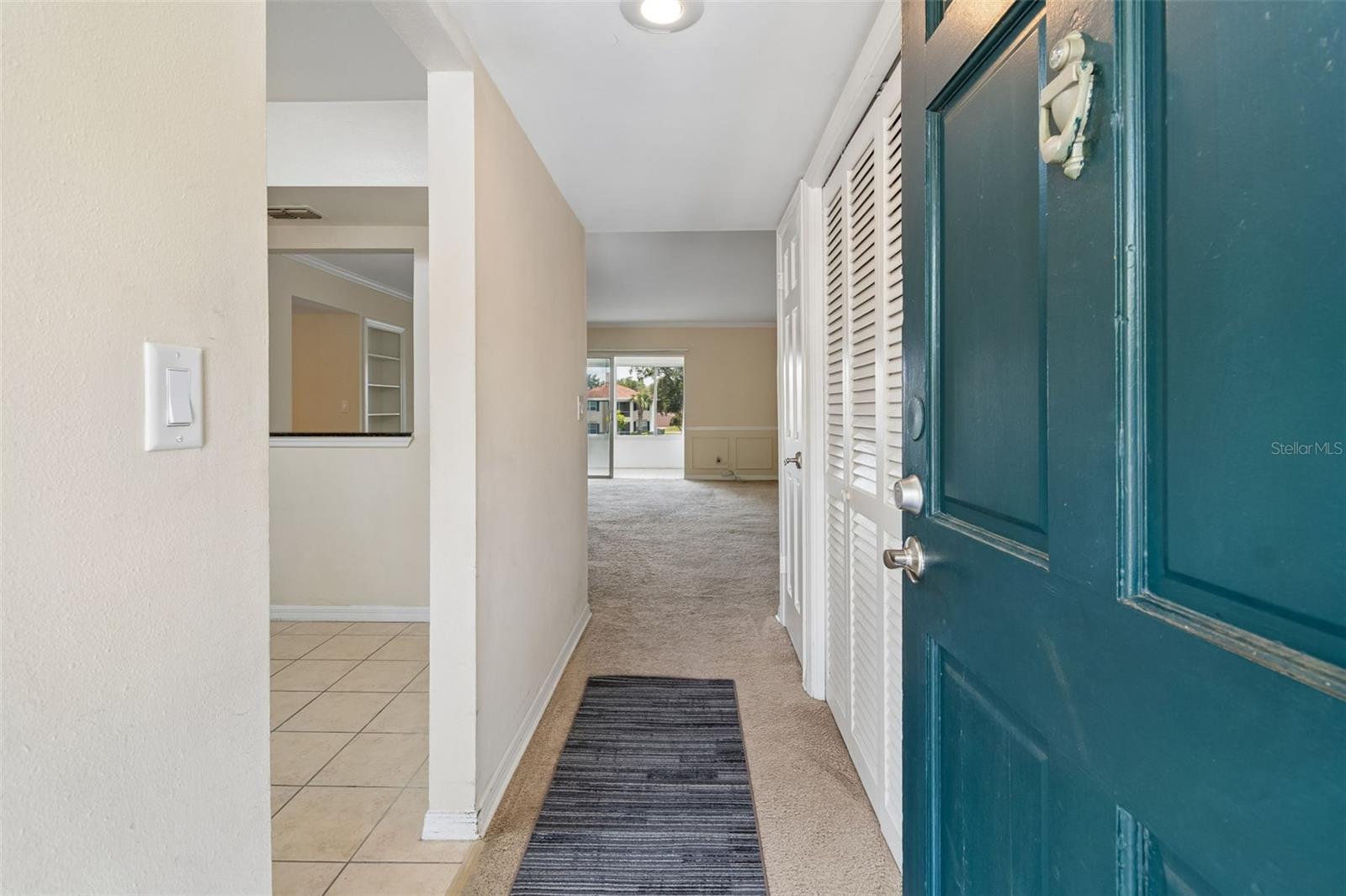 10344 CARROLLWOOD LN #176, TAMPA, FL, 33618