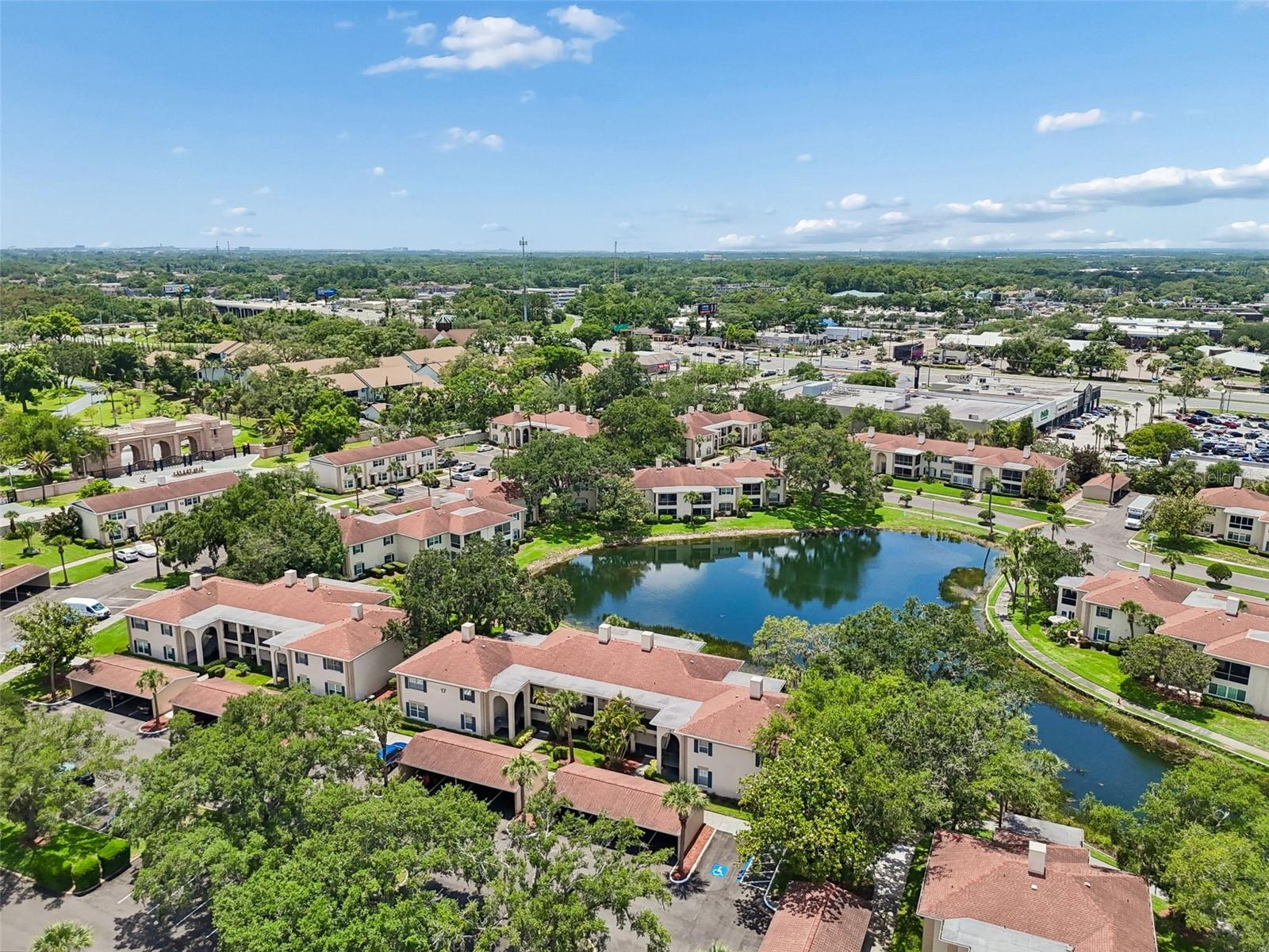 10344 CARROLLWOOD LN #176, TAMPA, FL, 33618