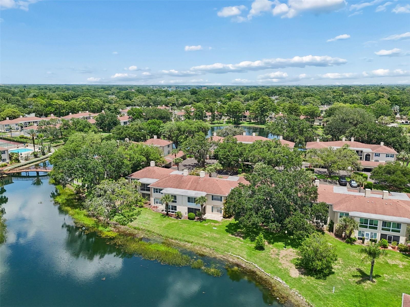 10344 CARROLLWOOD LN #176, TAMPA, FL, 33618