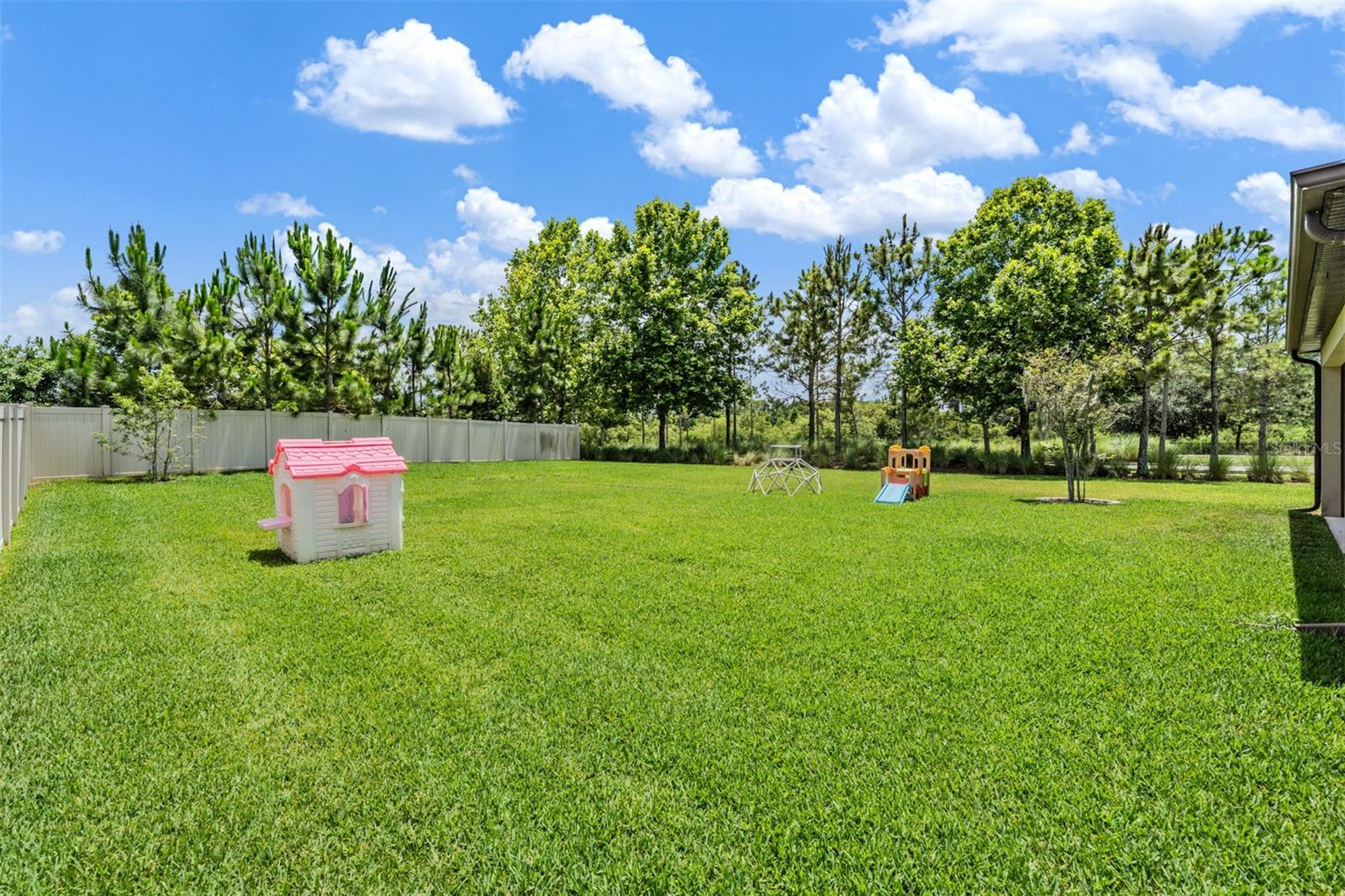 12316 FITZROY ST, ODESSA, FL, 33556