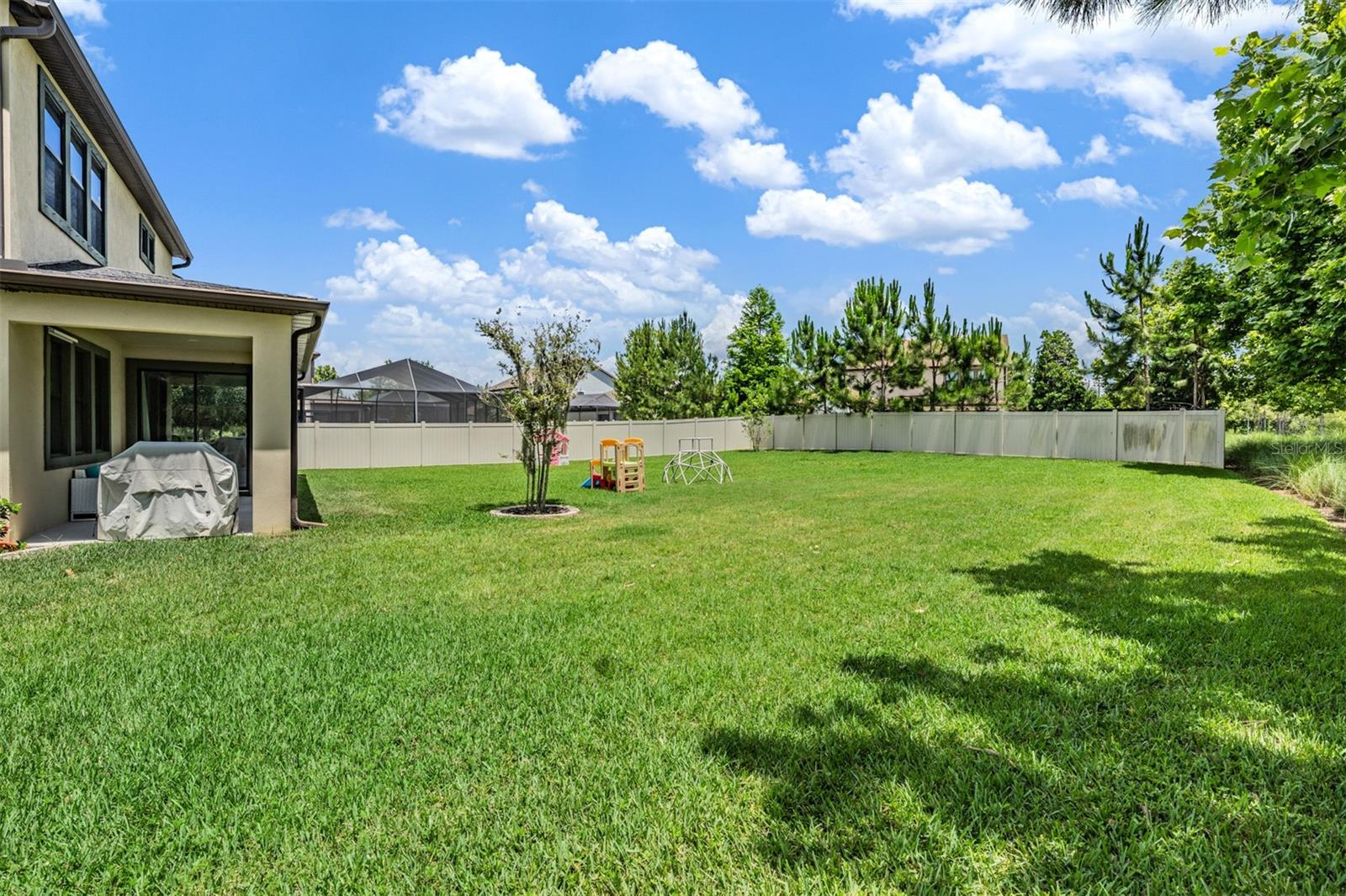 12316 FITZROY ST, ODESSA, FL, 33556