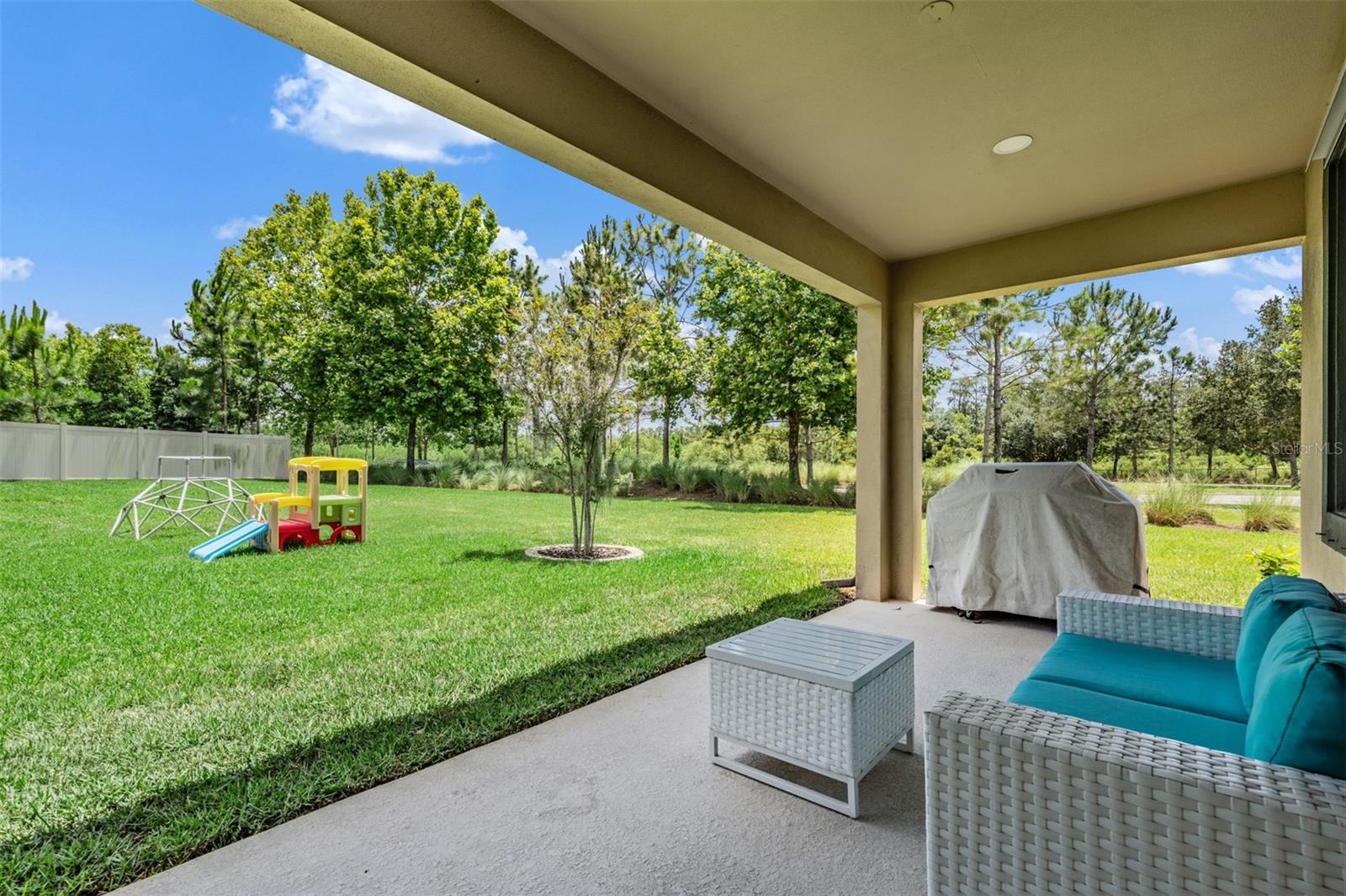 12316 FITZROY ST, ODESSA, FL, 33556