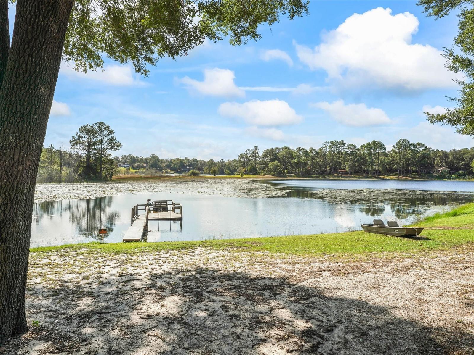 16684 SE 54TH ST, OCKLAWAHA, FL, 32179