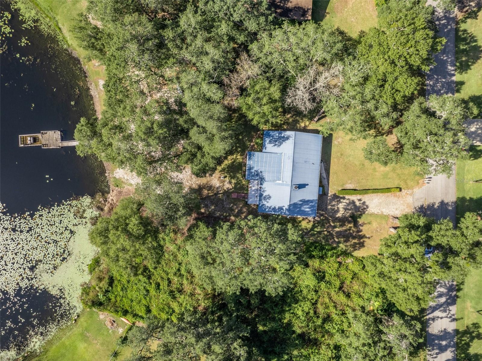 16684 SE 54TH ST, OCKLAWAHA, FL, 32179