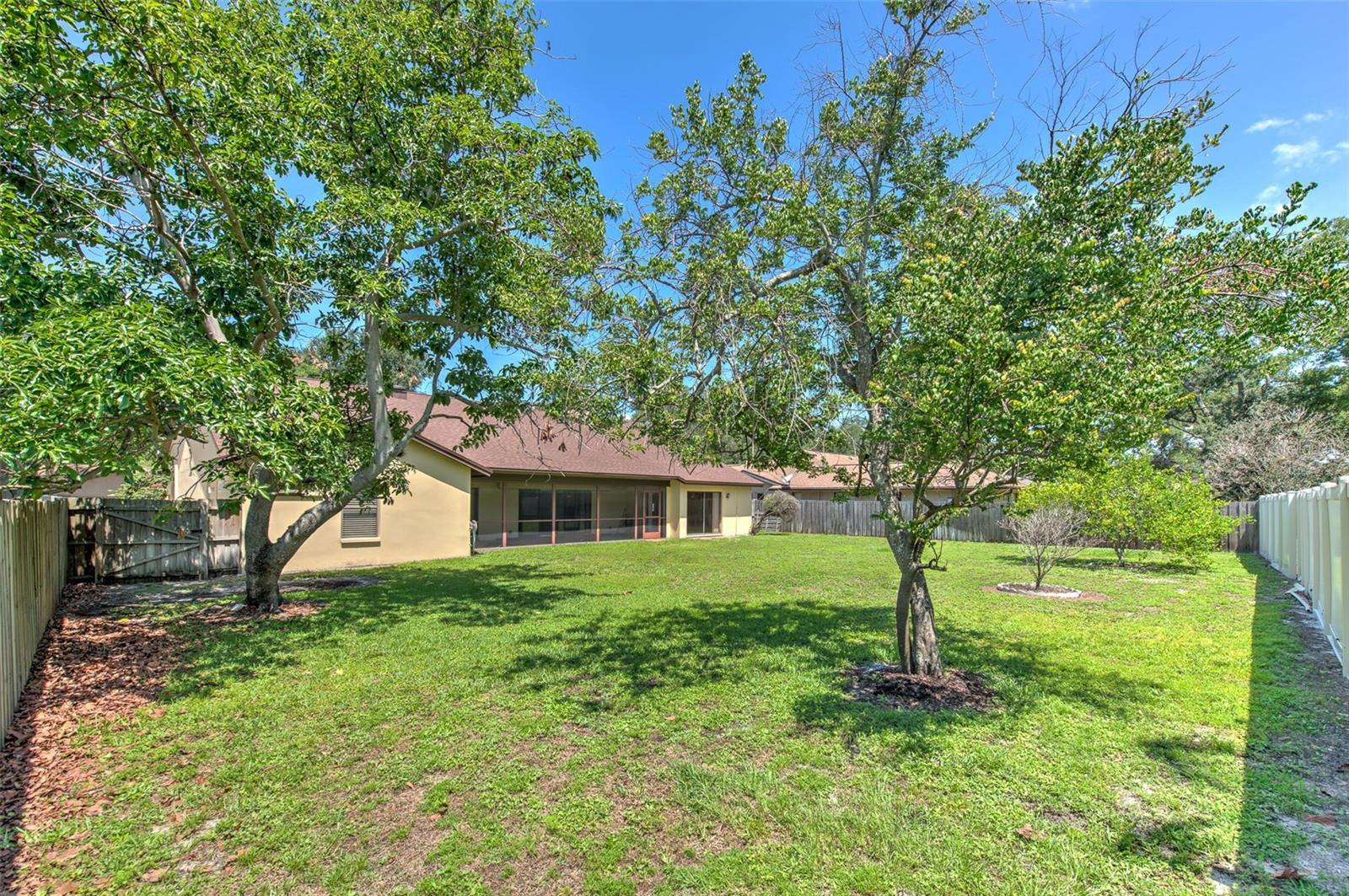 1704 CAPE BEND AVE, TAMPA, FL, 33613