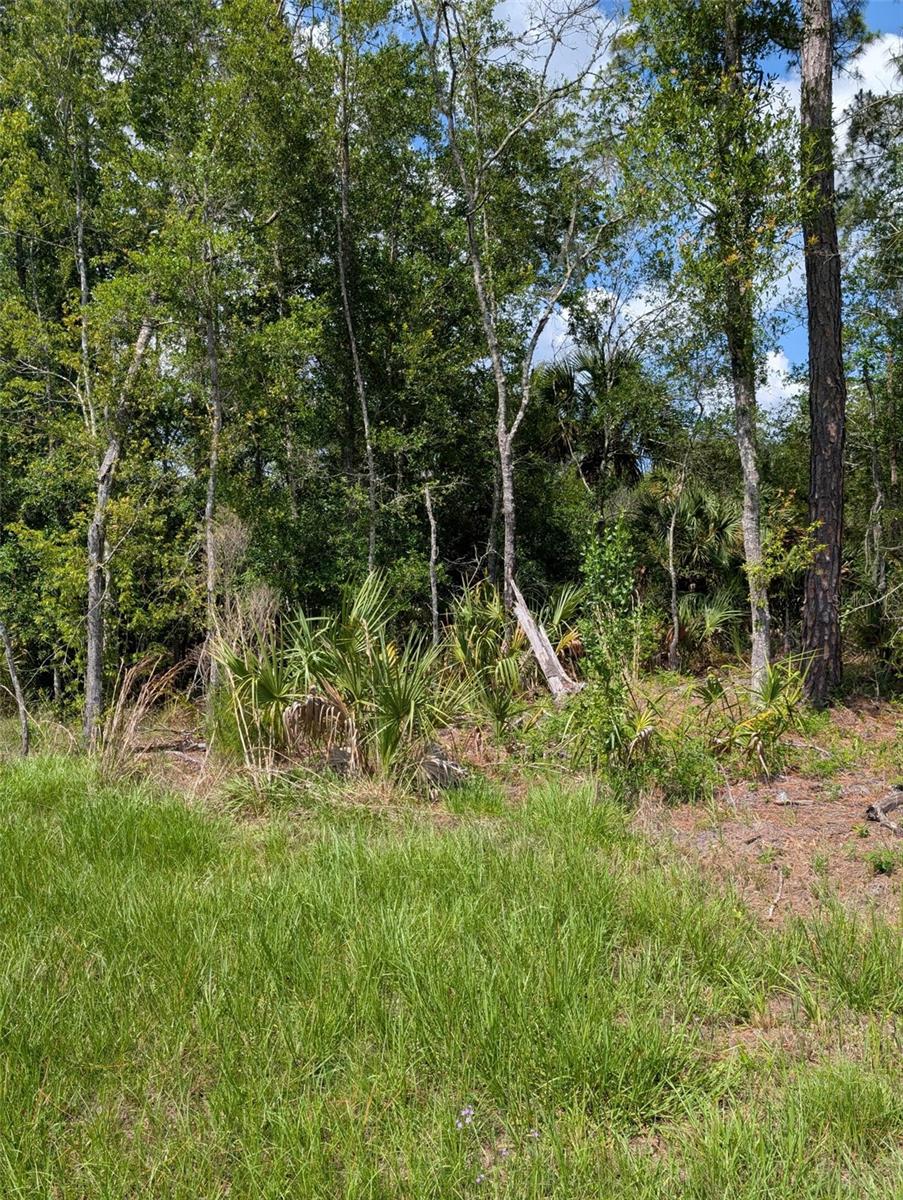 5251 N US HWY 19 HWY, CRYSTAL RIVER, FL, 34428