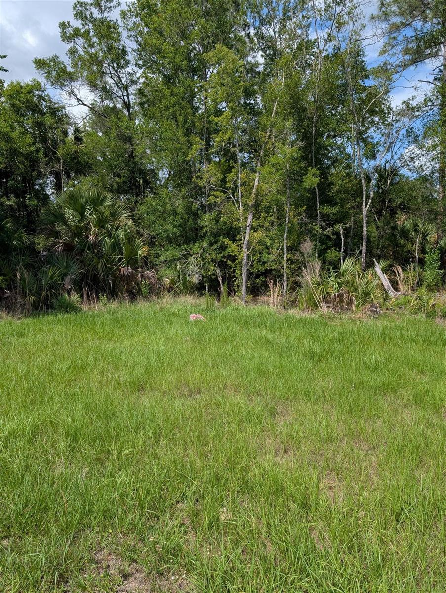 5251 N US HWY 19 HWY, CRYSTAL RIVER, FL, 34428