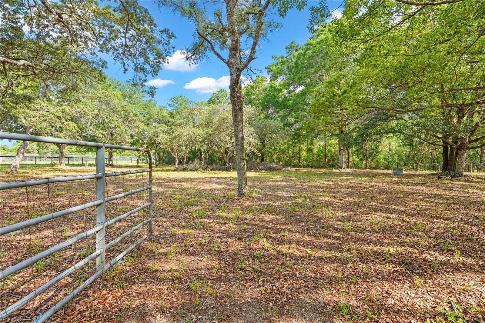 8378 GROVE RD, BROOKSVILLE, FL, 34613