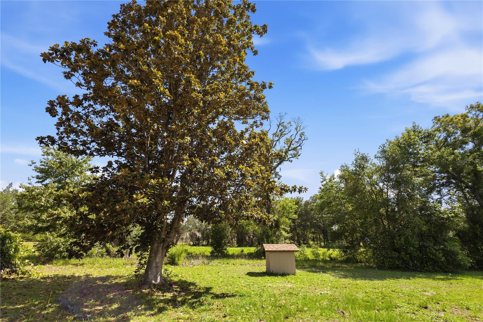 15191 NE 9TH ST, WILLISTON, FL, 32696