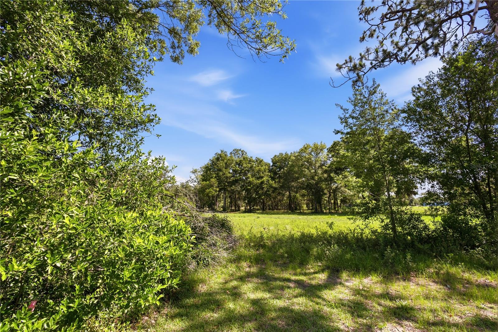 15191 NE 9TH ST, WILLISTON, FL, 32696