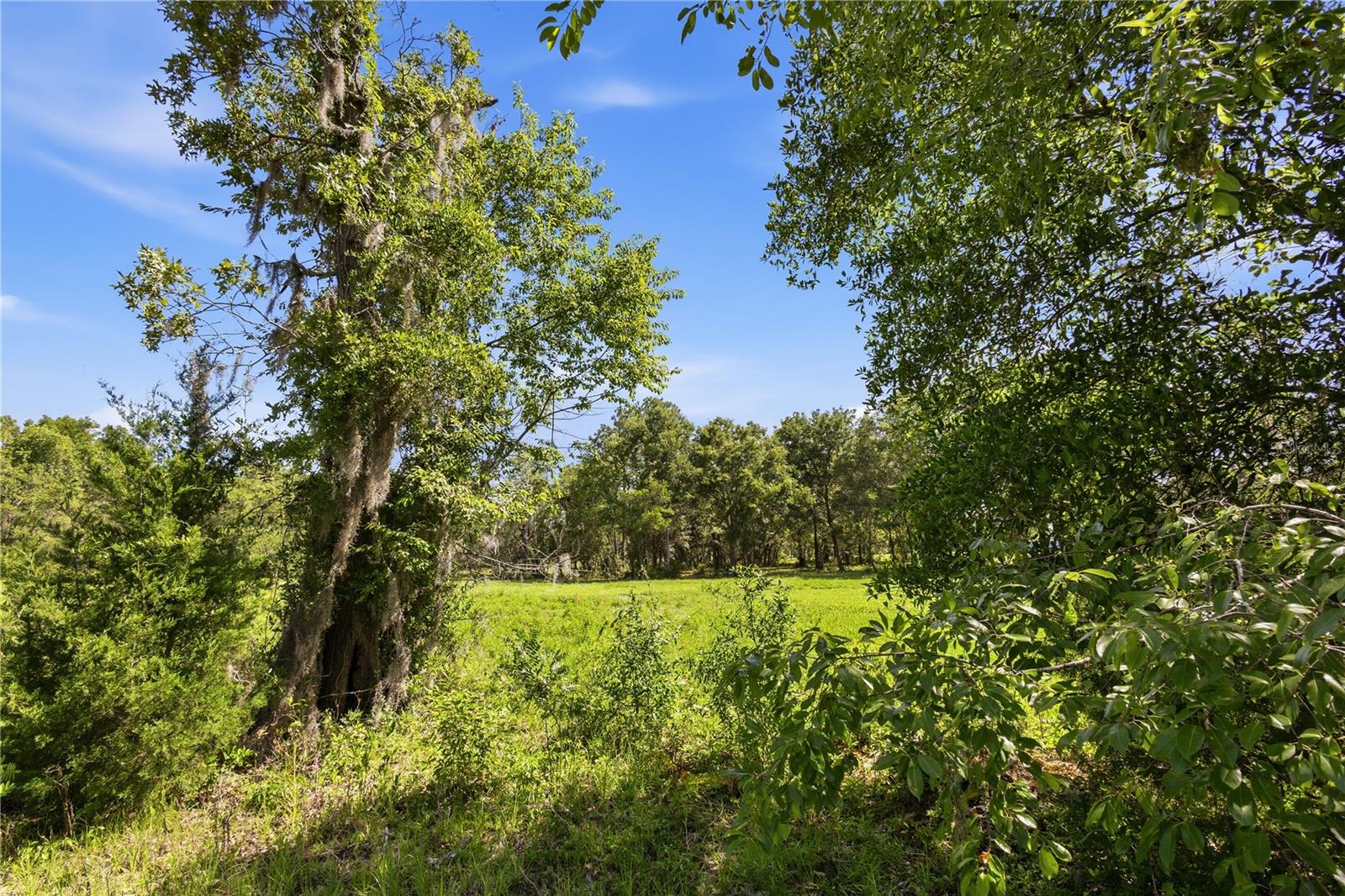15191 NE 9TH ST, WILLISTON, FL, 32696