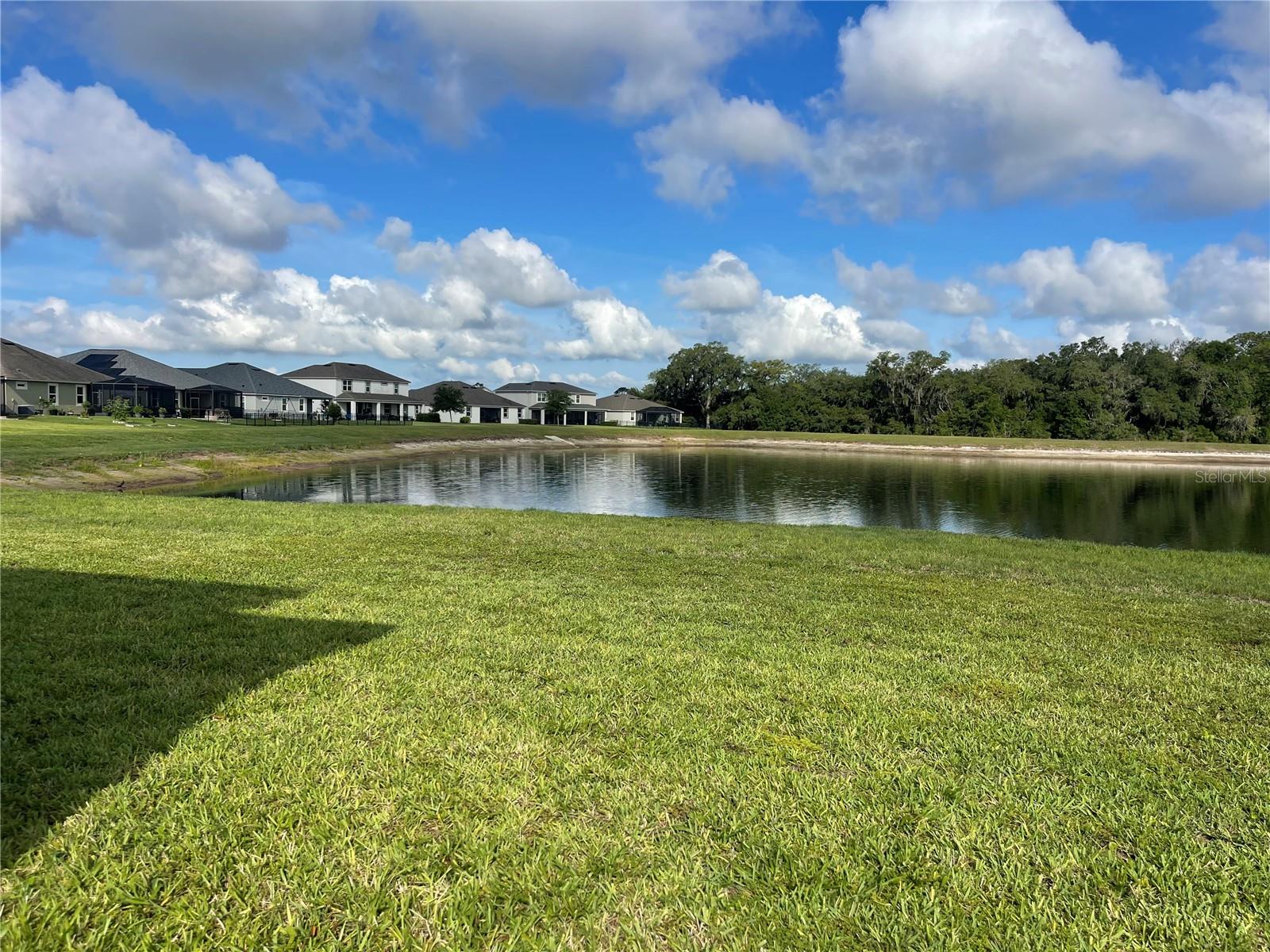 10708 PLANER PICKET DR, RIVERVIEW, FL, 33569