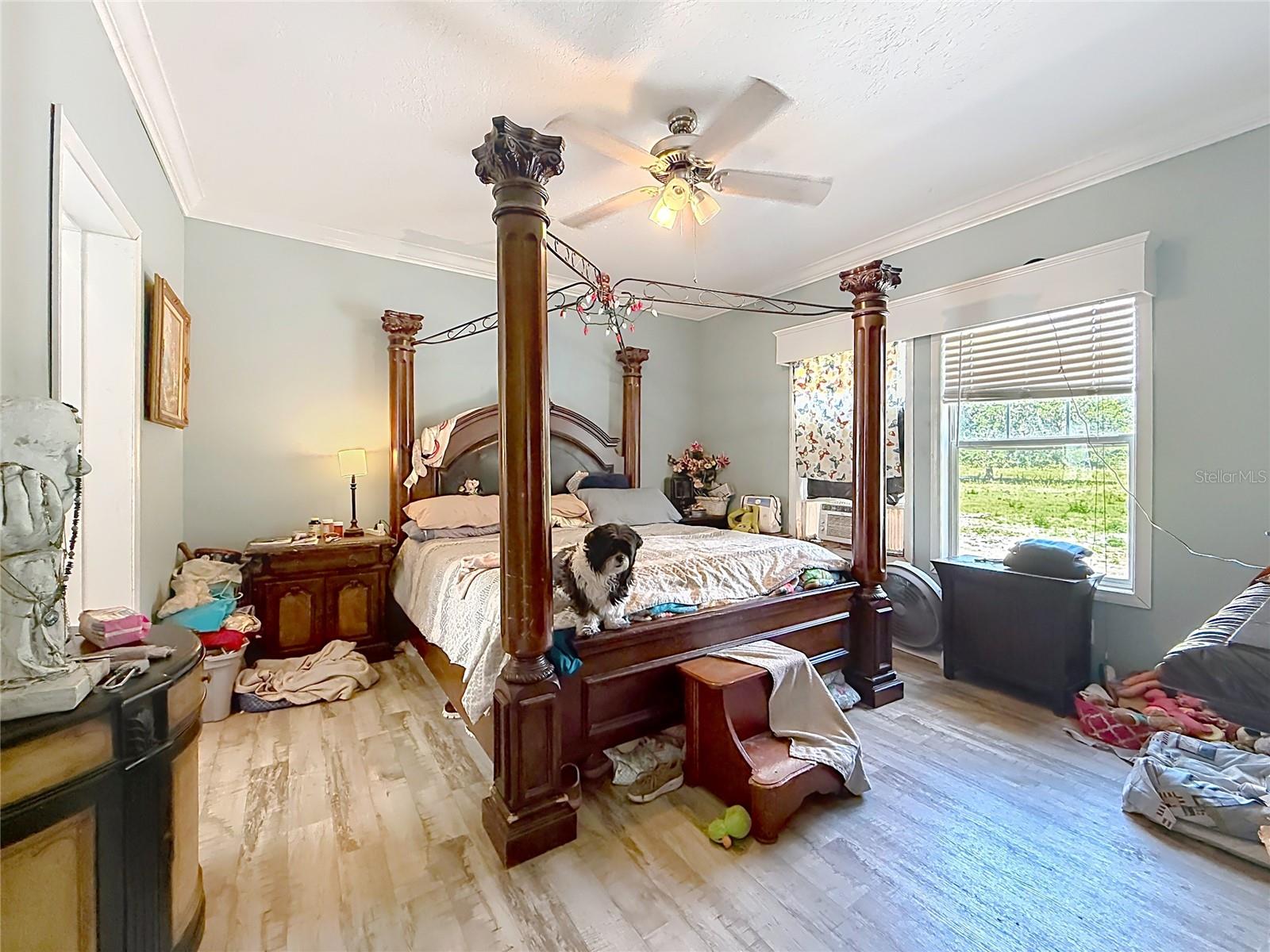 1689 NE 189TH LN, CITRA, FL, 32113