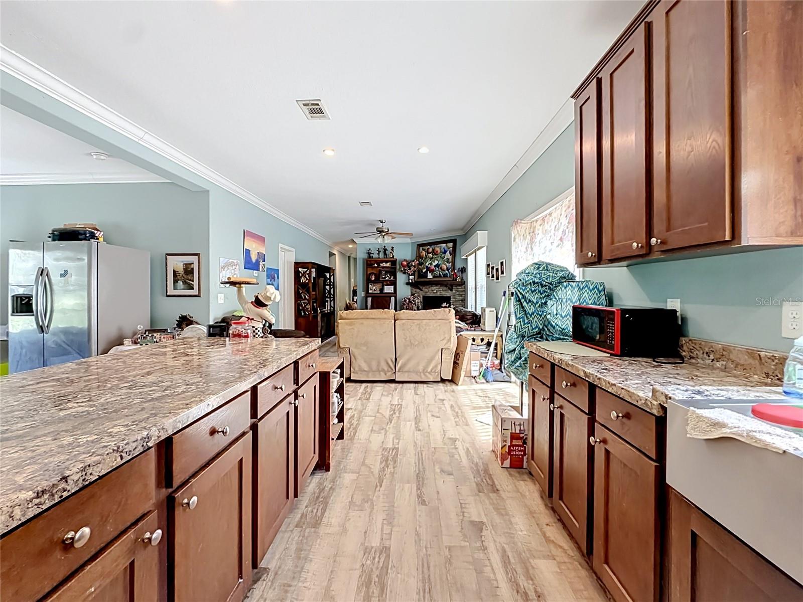 1689 NE 189TH LN, CITRA, FL, 32113