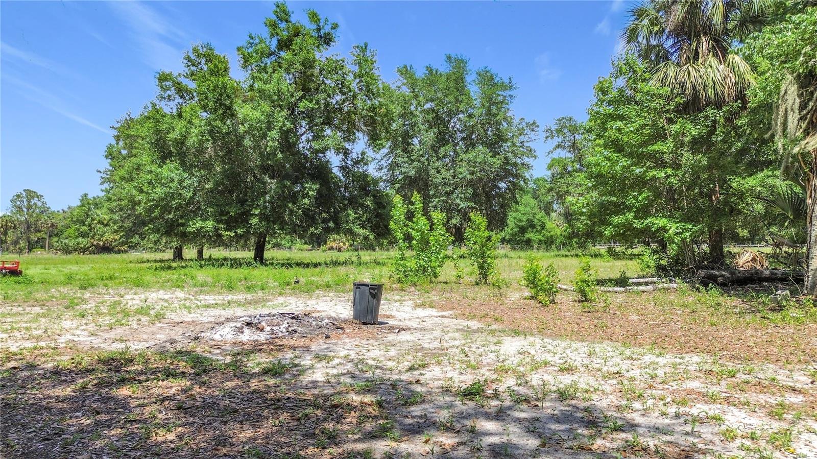 1689 NE 189TH LN, CITRA, FL, 32113