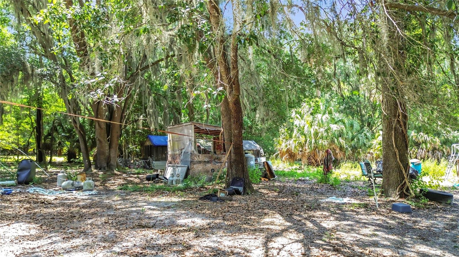 1689 NE 189TH LN, CITRA, FL, 32113