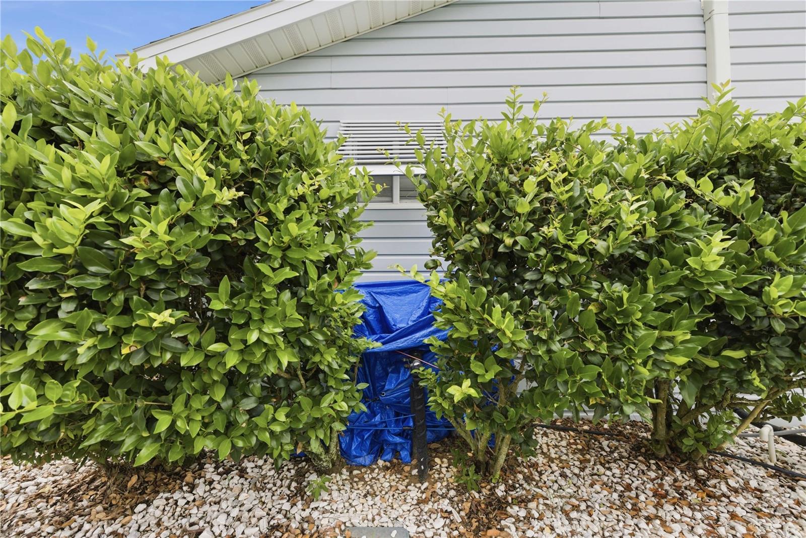 10696 SE 174TH PL, SUMMERFIELD, FL, 34491
