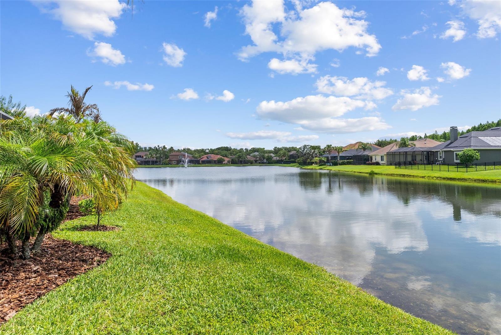 1536 ABYSS DR, ODESSA, FL, 33556
