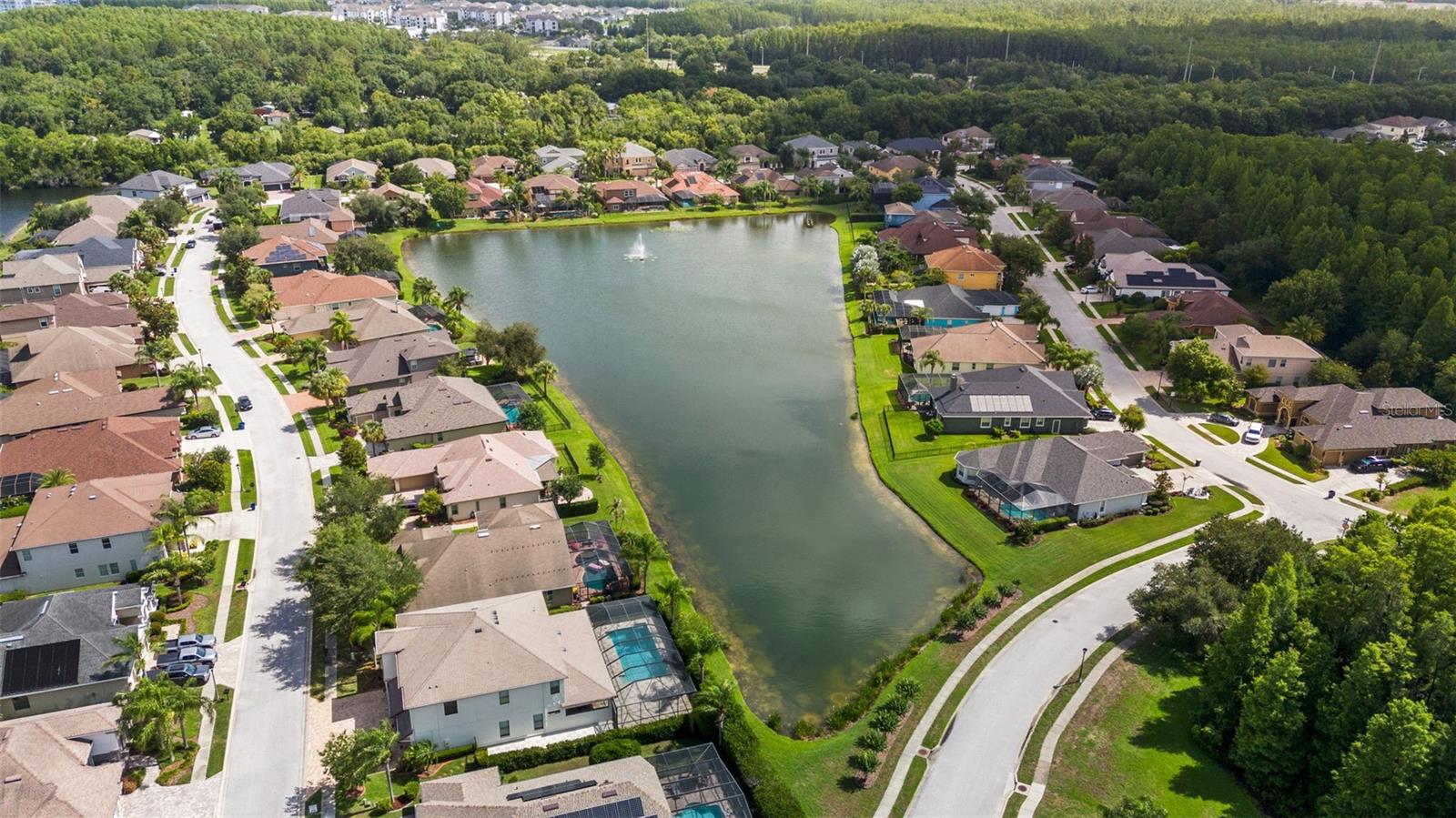 1536 ABYSS DR, ODESSA, FL, 33556